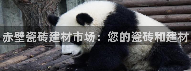 杏鑫平台下载安装