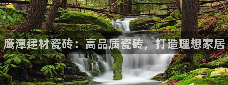 杏鑫平台登录地址是什么