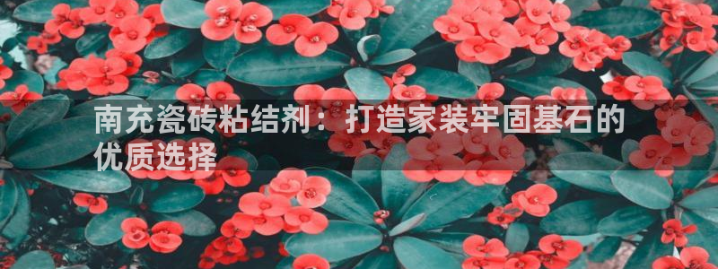 杏鑫娱乐开发团队