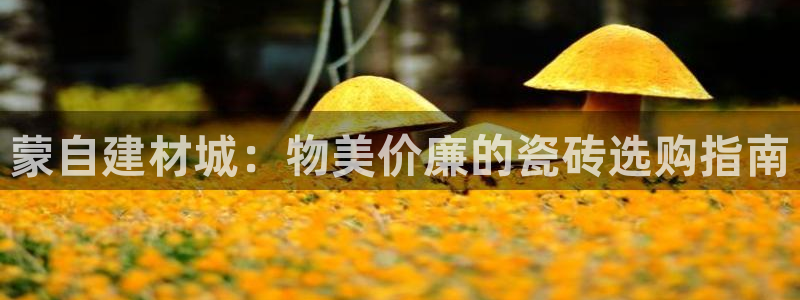 杏鑫娱乐平台登录注册网站