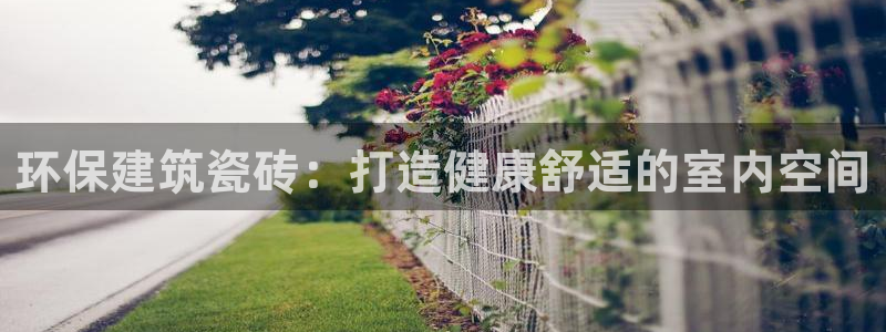 杏鑫平台怎么样