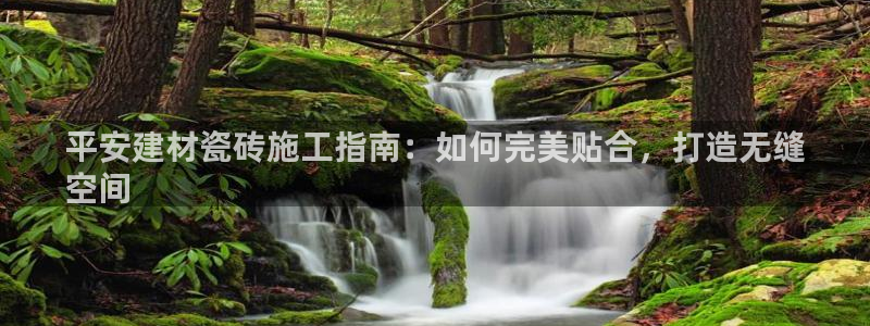 杏鑫主管