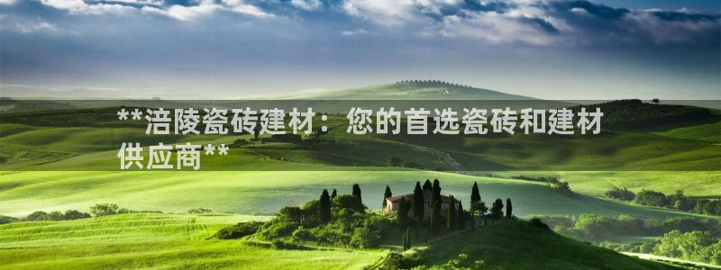 杏鑫招商总代