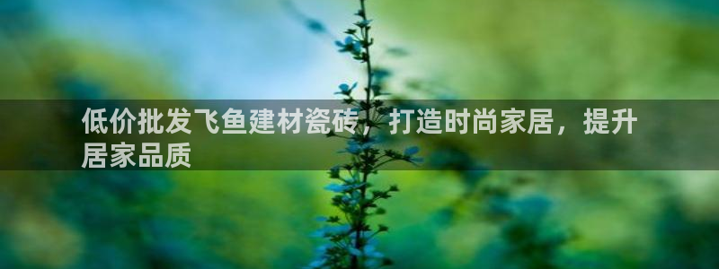 杏鑫平台注册登录