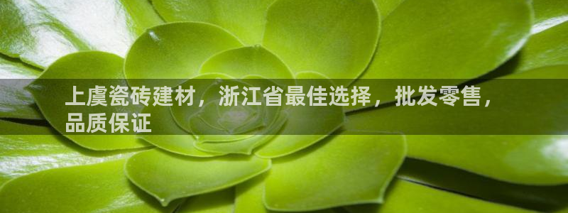 杏鑫平台代理注册多少钱啊