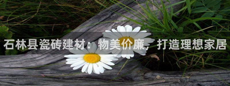 杏鑫娱乐怎么下