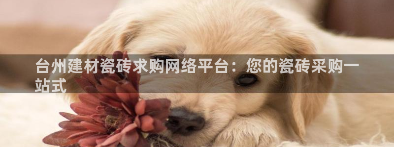 杏鑫注册平台官方网站是什么