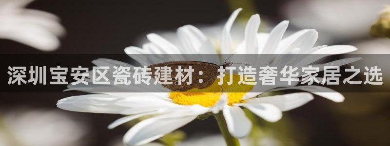 杏鑫平台号7O777