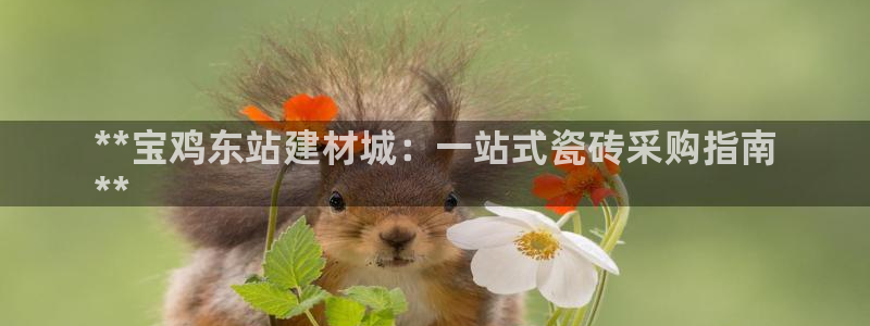 杏鑫平台代理注册多少钱啊