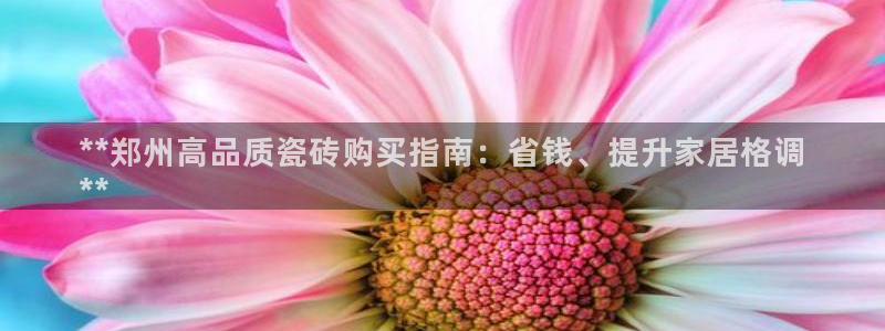 杏鑫平台代理怎么样可靠吗