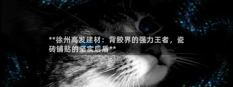 杏鑫官网注册账号是什么样的