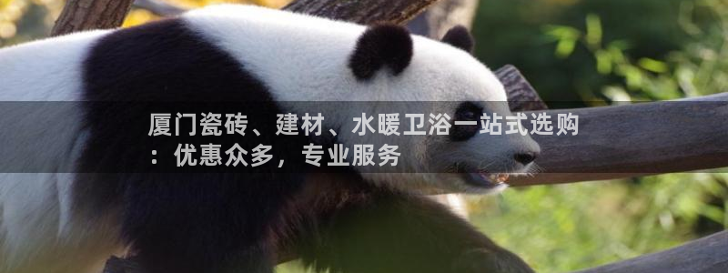 杏鑫平台注册登录