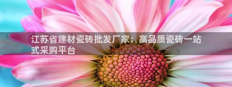 杏鑫平台注册入口