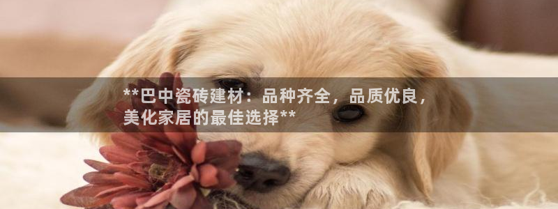 杏鑫娱乐官网登录