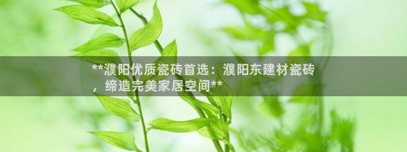 杏鑫平台代理注册流程