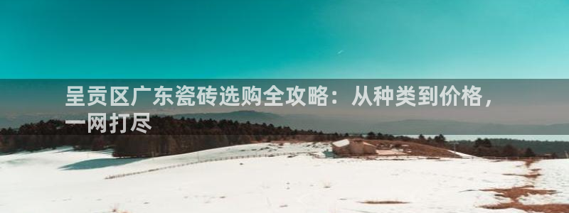 杏鑫官方平台怎么样