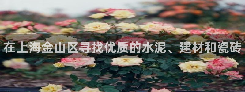 杏鑫注册登录平台是什么