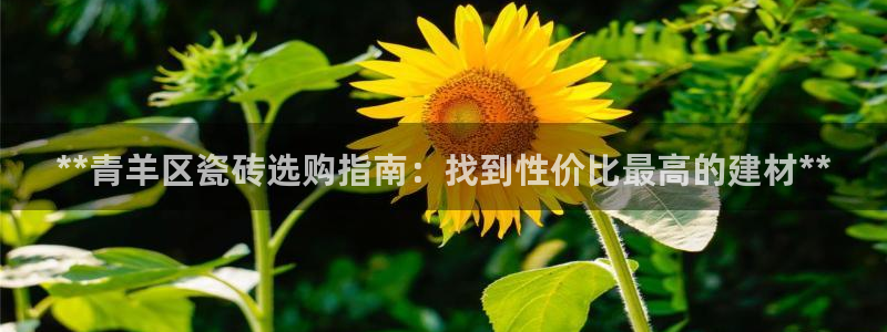 杏鑫平台是黑平台吗知乎