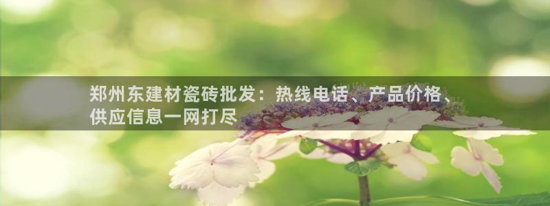 杏鑫平台代理注册登录不了怎么办呀视频