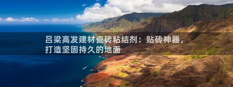 杏鑫注册登录平台