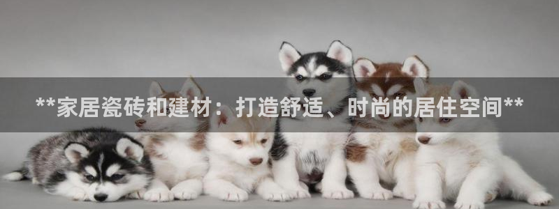 杏鑫官网最新信息新闻