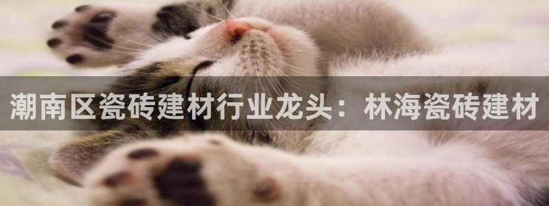 杏鑫平台是黑平台吗知乎