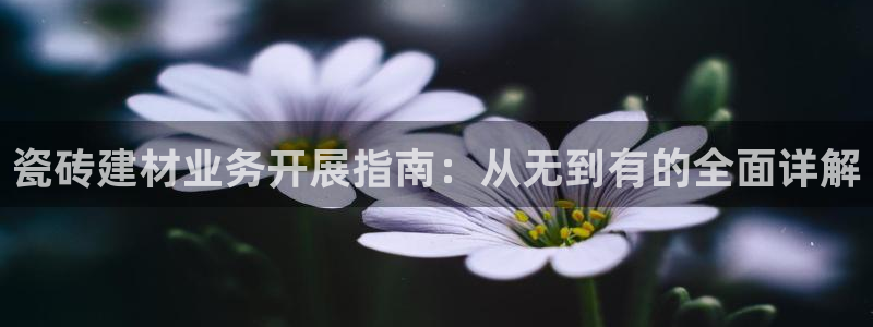 杏鑫平台注册入口