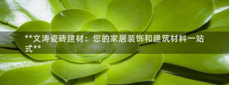 杏鑫平台代理怎么样