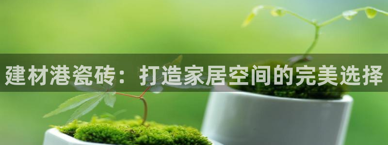 杏鑫平台下载安装