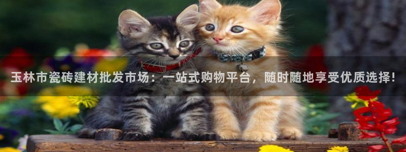 杏鑫手机客户端