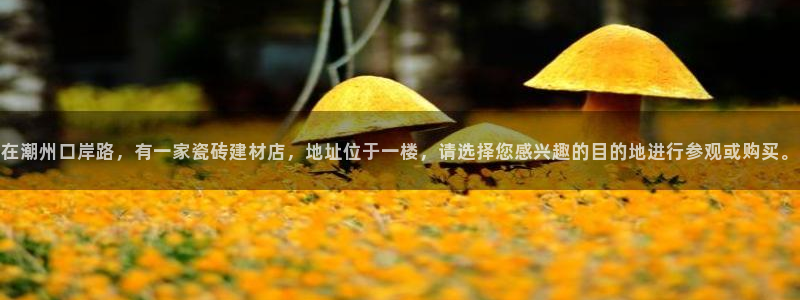 杏鑫平台官方网站