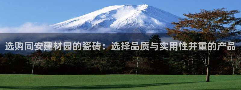 杏鑫官网最新信息
