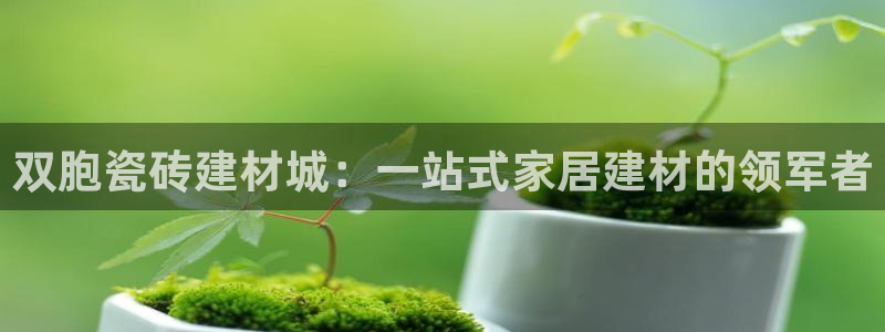 杏鑫官方平台怎么样啊