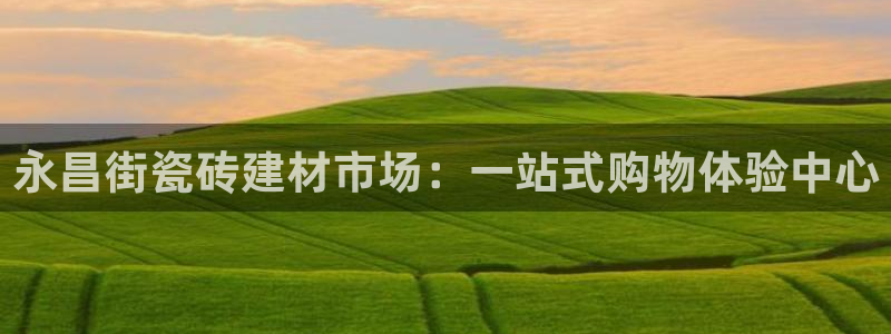 杏鑫平台注册登录