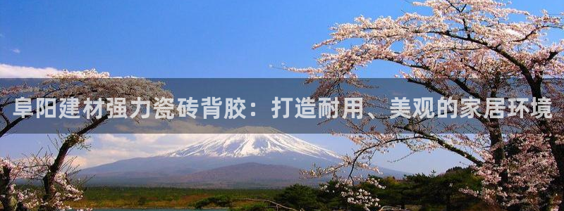 杏鑫平台代理怎么样可靠吗