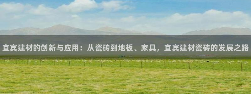 杏鑫平台代理注册流程图