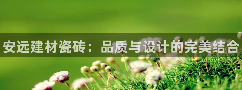 杏鑫平台注册入口在哪