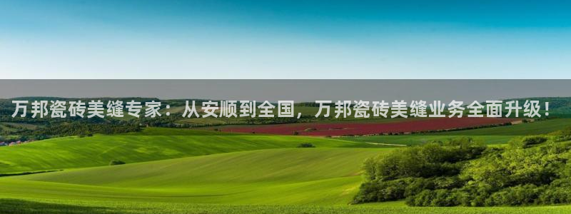 杏鑫平台在线注册流程