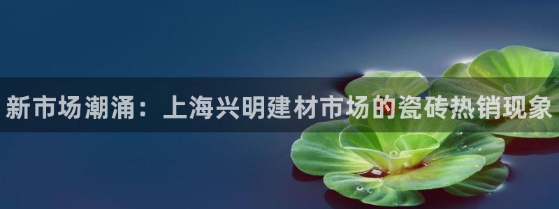 杏鑫娱乐怎么样