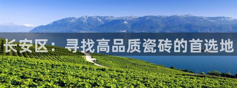 杏鑫平台注册网址查询