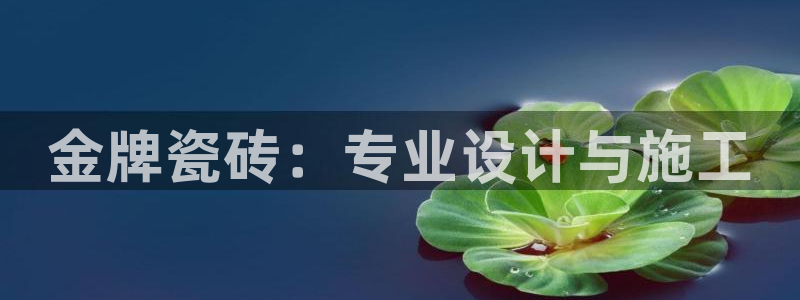 杏鑫平台广7O777